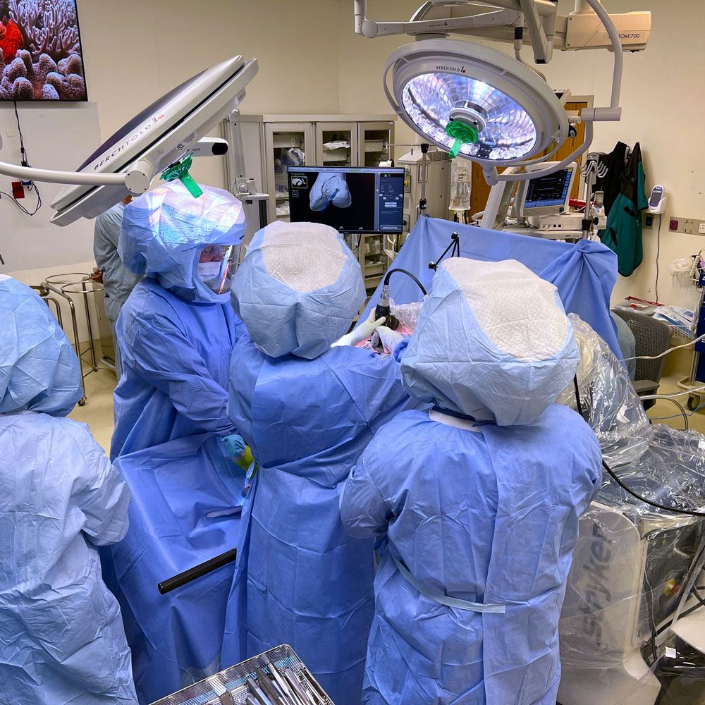 Medical team performs surgery